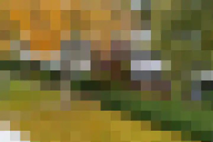 De Hegen 24 Emmen thumbnail 28
