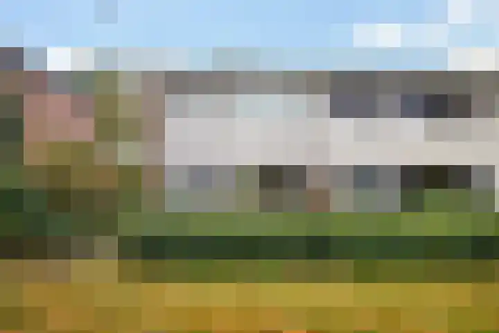 De Hegen 24 Emmen thumbnail 29