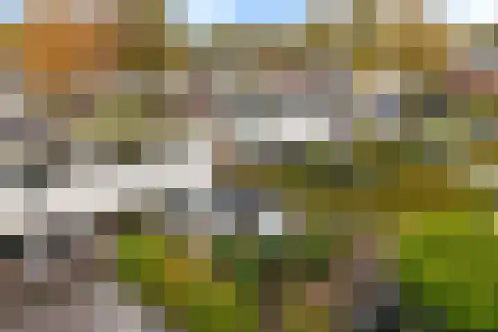 De Hegen 24 Emmen thumbnail 31