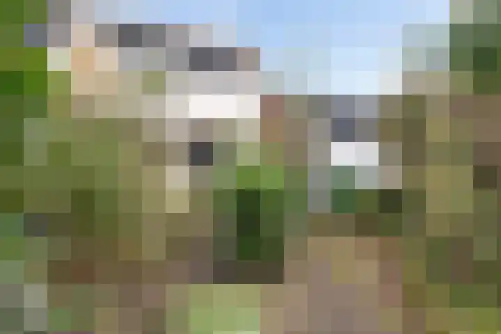 De Hegen 24 Emmen thumbnail 32