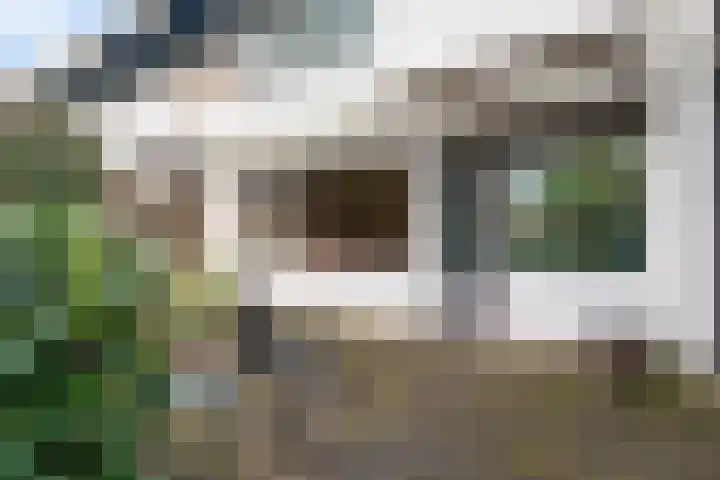 De Hegen 24 Emmen thumbnail 33