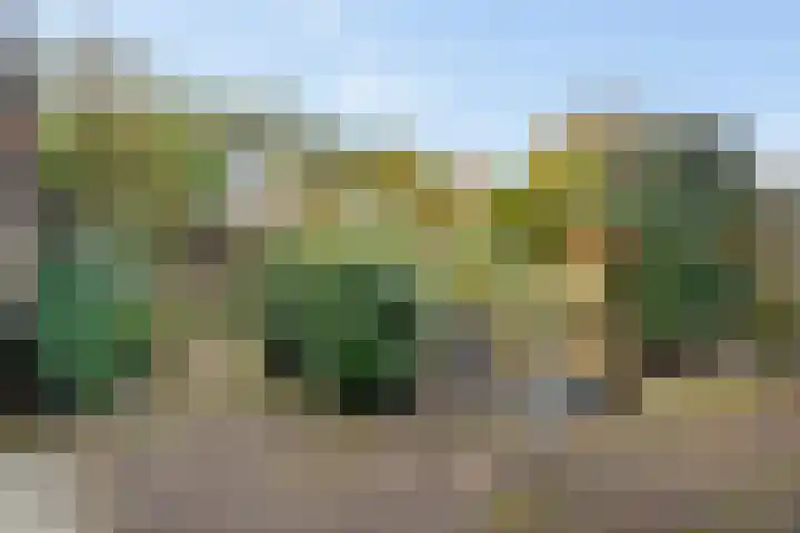 De Hegen 24 Emmen thumbnail 34