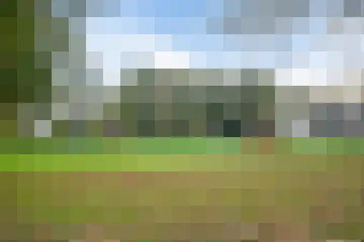 De Hegen 24 Emmen thumbnail 39