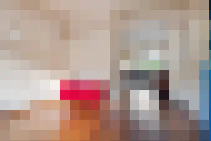 De Hegen 24 Emmen thumbnail 6