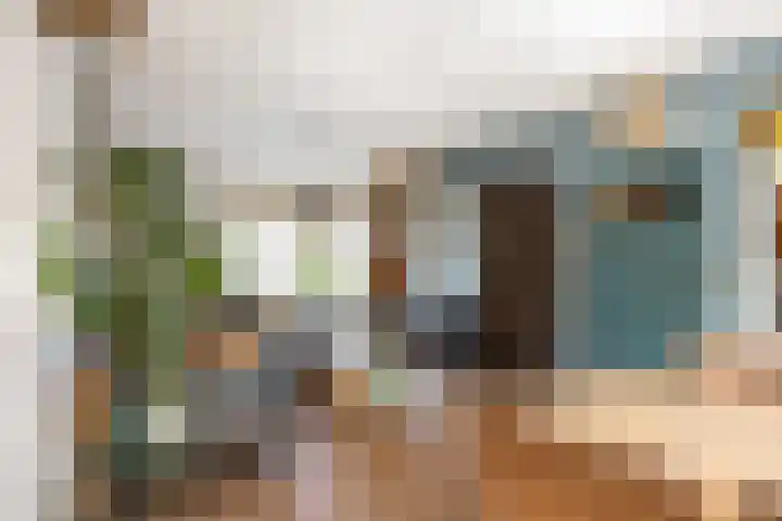 De Hegen 26 Oosterwolde thumbnail 10