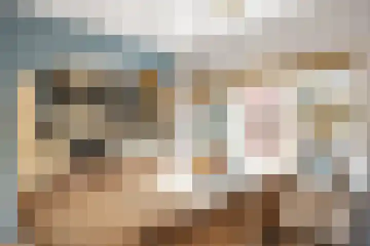De Hegen 26 Oosterwolde thumbnail 15