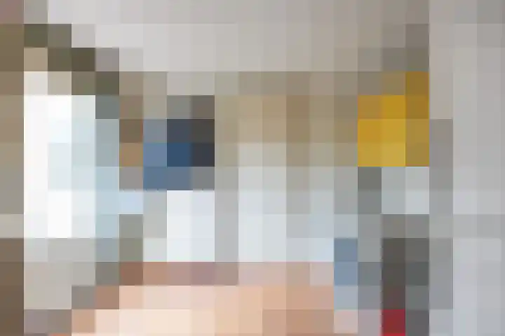 De Hegen 26 Oosterwolde thumbnail 23