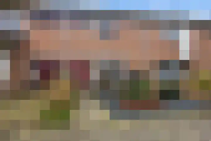 De Hegen 26 Oosterwolde thumbnail 8