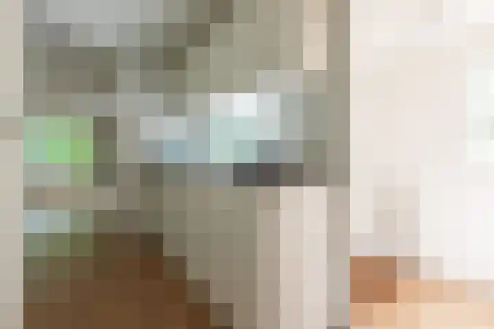 De Hegen 26 Oosterwolde thumbnail 9