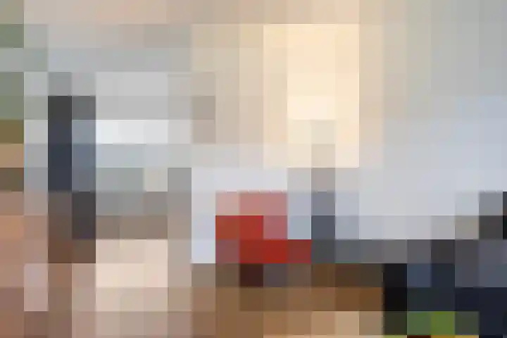 De Hegen 36 Emmen thumbnail 12