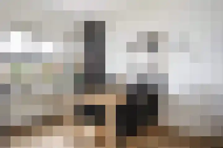 De Hegen 36 Emmen thumbnail 13