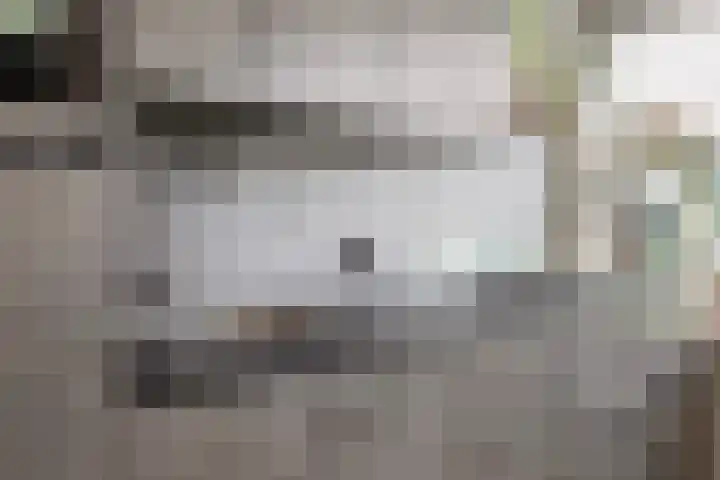 De Hegen 36 Emmen thumbnail 15