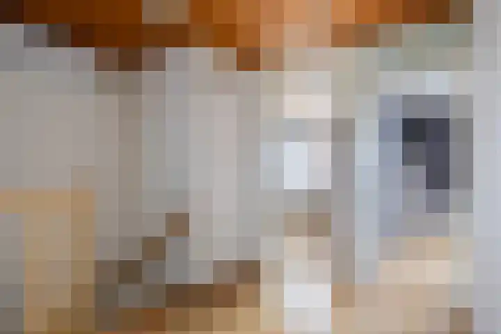 De Hegen 36 Emmen thumbnail 17