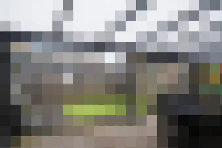 De Hegen 36 Emmen thumbnail 27