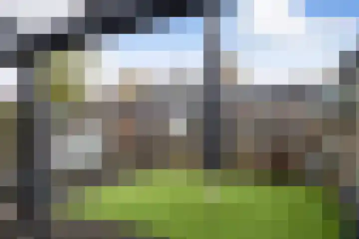 De Hegen 36 Emmen thumbnail 31
