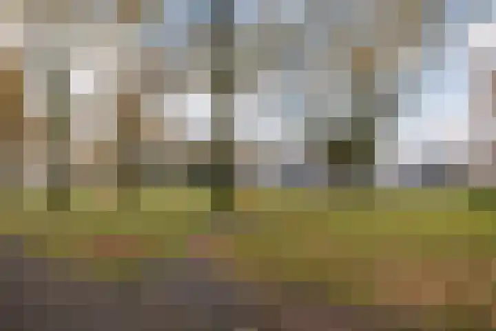 De Hegen 36 Emmen thumbnail 33