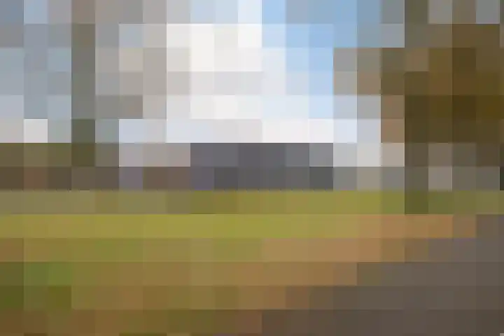 De Hegen 36 Emmen thumbnail 34