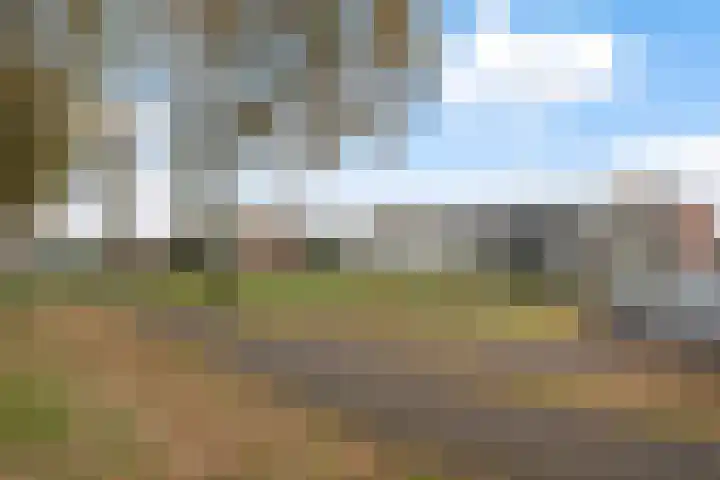 De Hegen 36 Emmen thumbnail 5