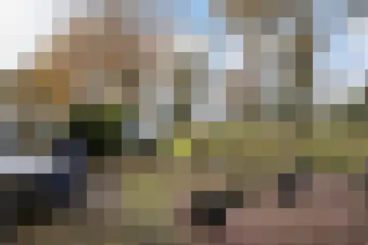 De Hegen 36 Emmen thumbnail 7