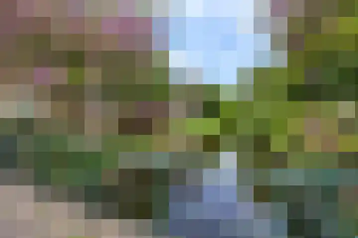 De Hegen 38 Oosterwolde