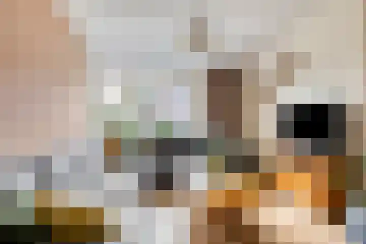 De Hegen 38 Oosterwolde thumbnail 10