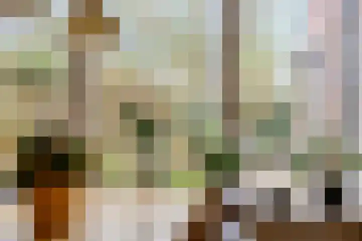 De Hegen 38 Oosterwolde thumbnail 15