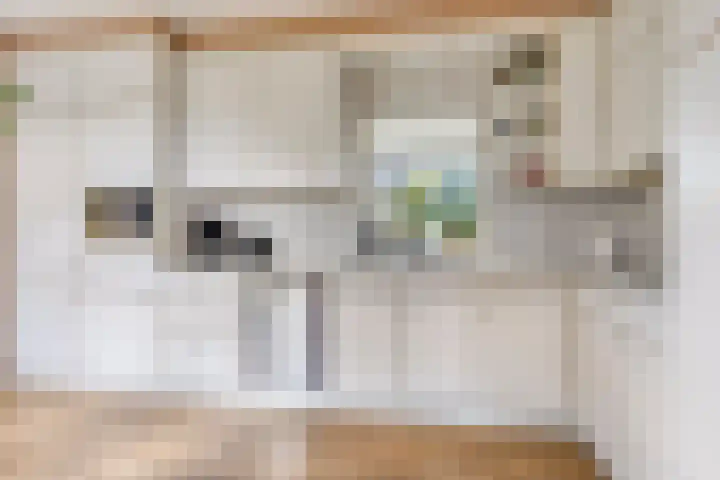 De Hegen 38 Oosterwolde thumbnail 17