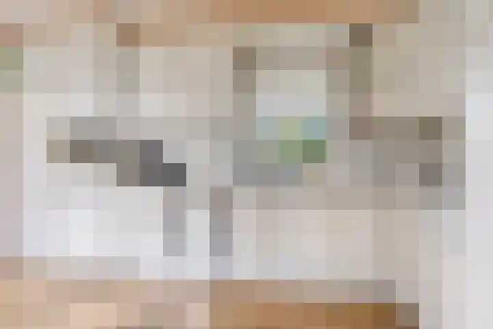 De Hegen 38 Oosterwolde thumbnail 17