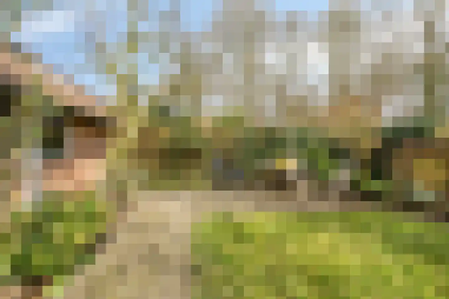 De Hegen 38 Oosterwolde thumbnail 37