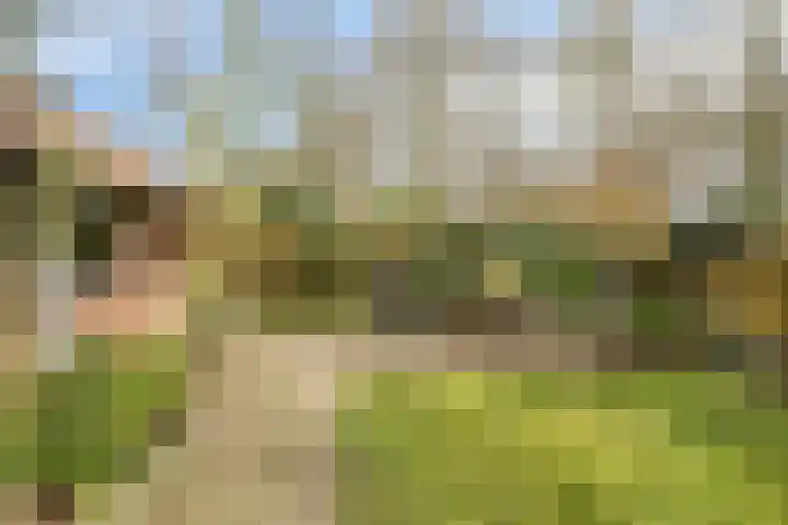 De Hegen 38 Oosterwolde thumbnail 37