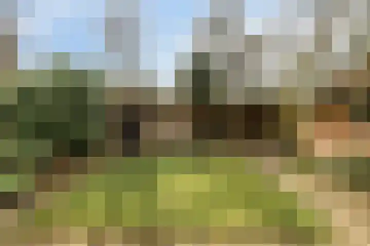 De Hegen 38 Oosterwolde thumbnail 38