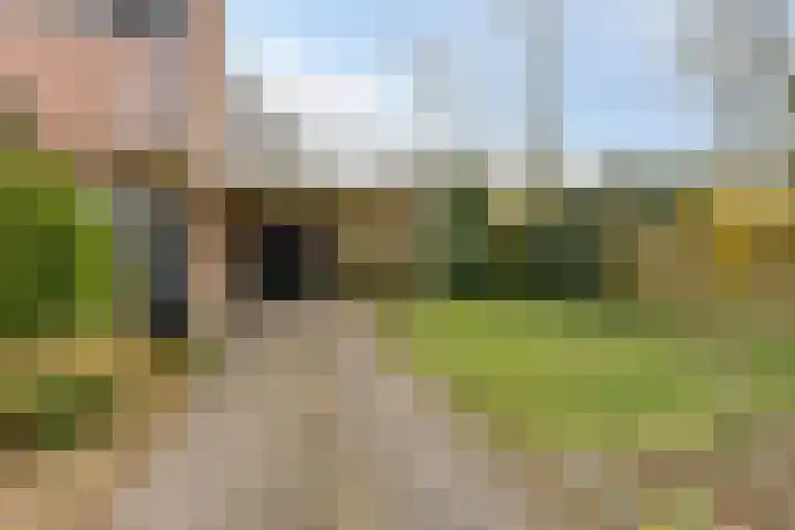 De Hegen 38 Oosterwolde thumbnail 4