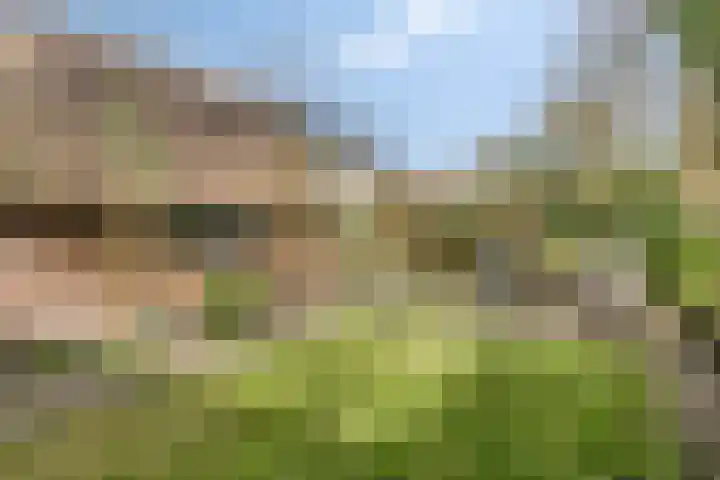 De Hegen 38 Oosterwolde thumbnail 40