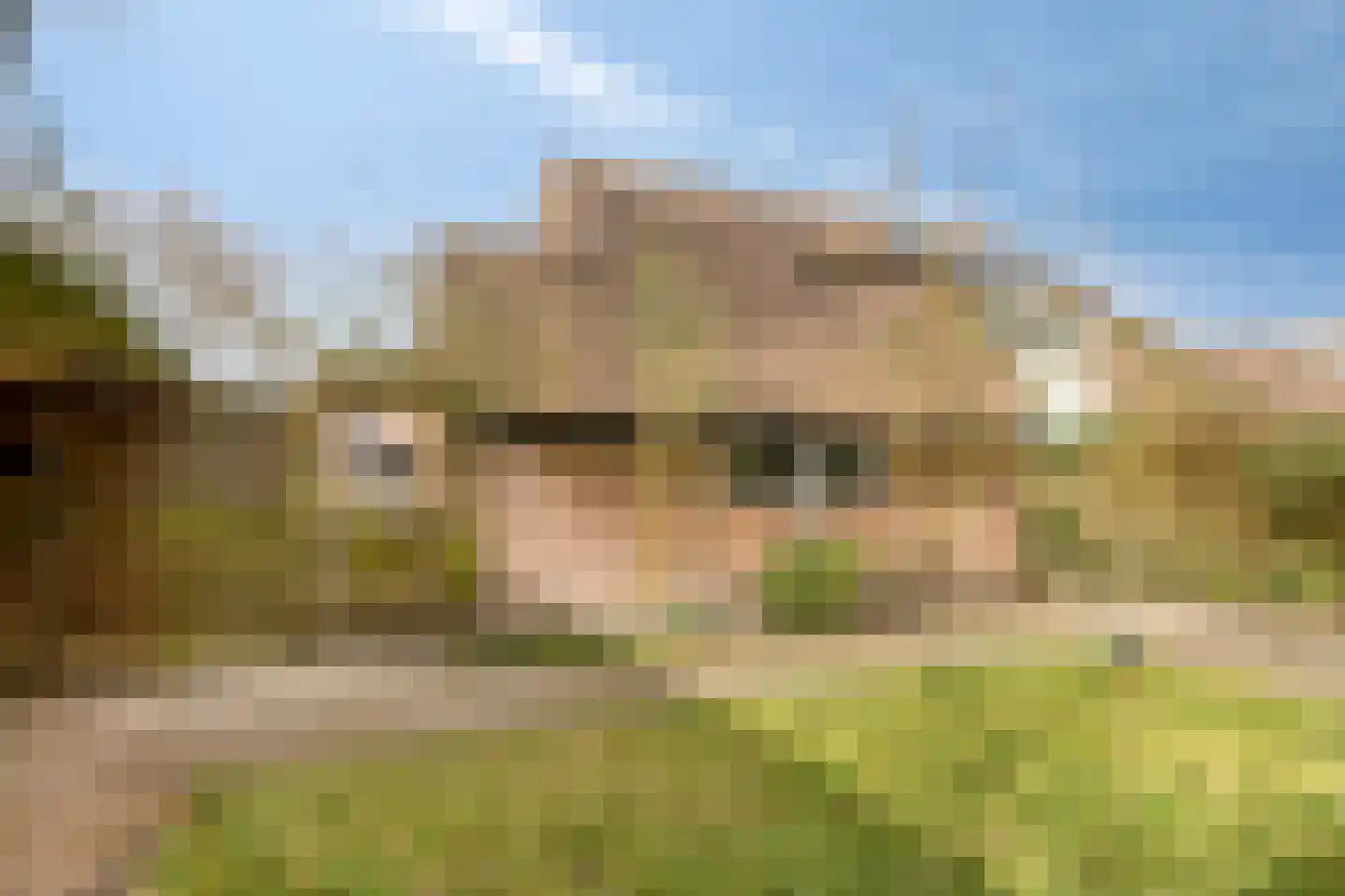 De Hegen 38 Oosterwolde thumbnail 41