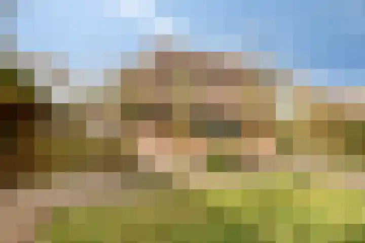 De Hegen 38 Oosterwolde thumbnail 41