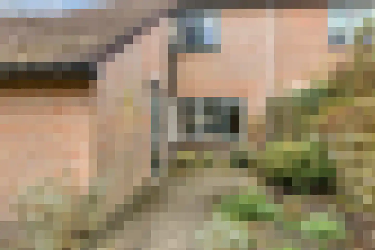 De Hegen 38 Oosterwolde thumbnail 42