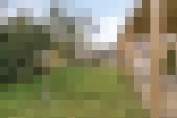 De Hegen 38 Oosterwolde thumbnail 6