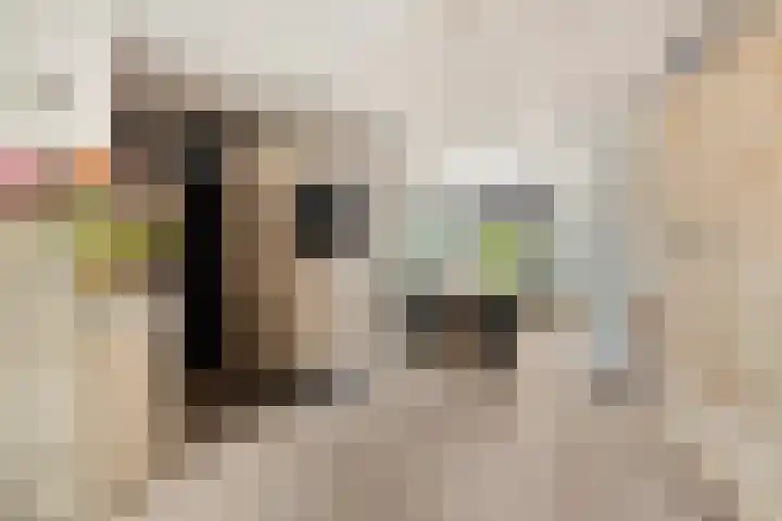 De Heggemus 3 Budel thumbnail 10