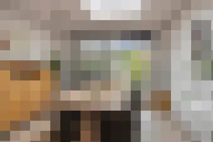 De Heggemus 3 Budel thumbnail 12