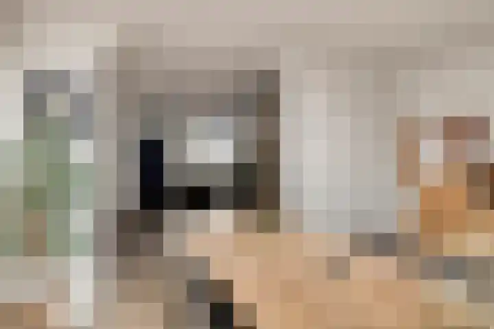 De Heggemus 3 Budel thumbnail 13