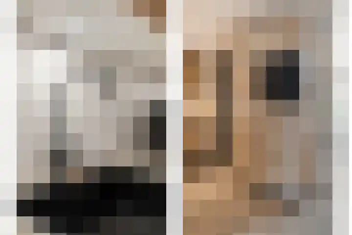 De Heggemus 3 Budel thumbnail 15
