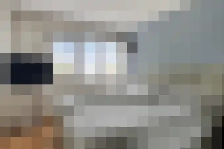 De Heggemus 3 Budel thumbnail 19