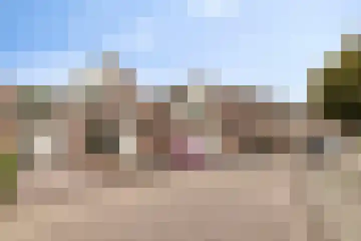 De Heggemus 3 Budel foto 2