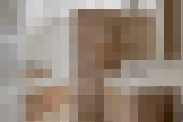 De Heggemus 3 Budel thumbnail 21
