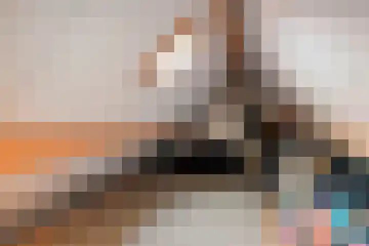 De Heggemus 3 Budel thumbnail 27