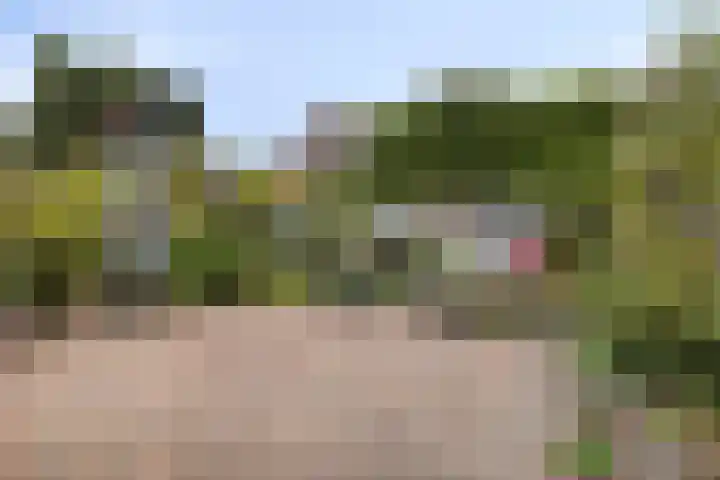 De Heggemus 3 Budel thumbnail 28