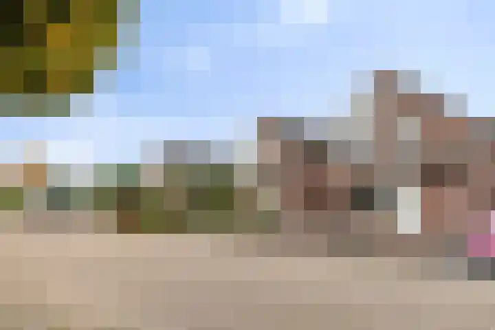 De Heggemus 3 Budel foto 3