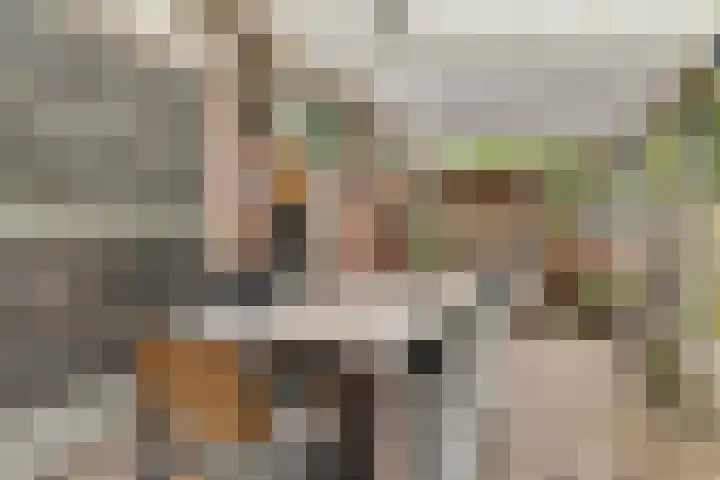 De Heggemus 3 Budel thumbnail 30