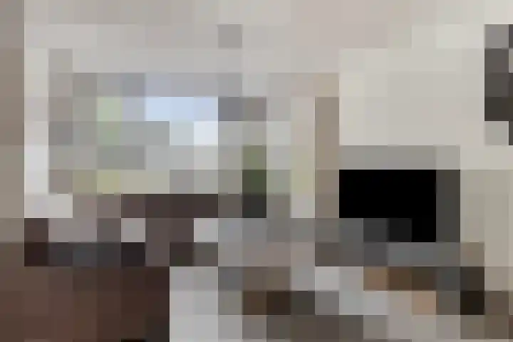 De Heggemus 3 Budel thumbnail 6