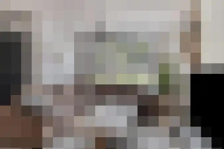 De Heggemus 3 Budel thumbnail 7